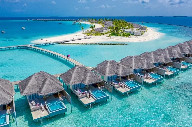 maldives o dau