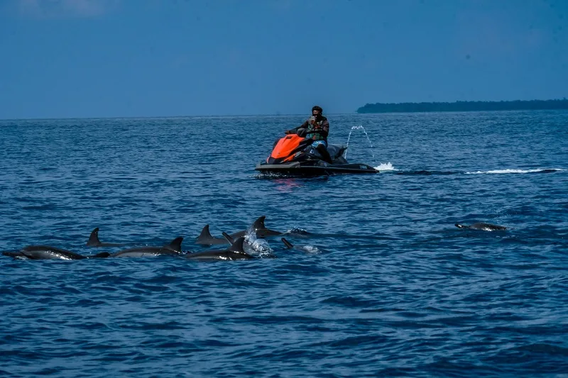 maldives o dau