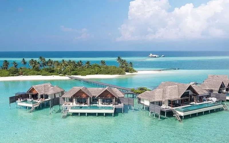 maldives o dau